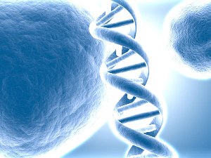 komórki i DNA – tłumaczenia naukowe z korektą native speakera